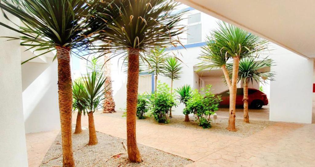 Apartment With Sea Views In Las Terrazas/Playa Flamenca Dehesa de Campoamor  Exterior photo