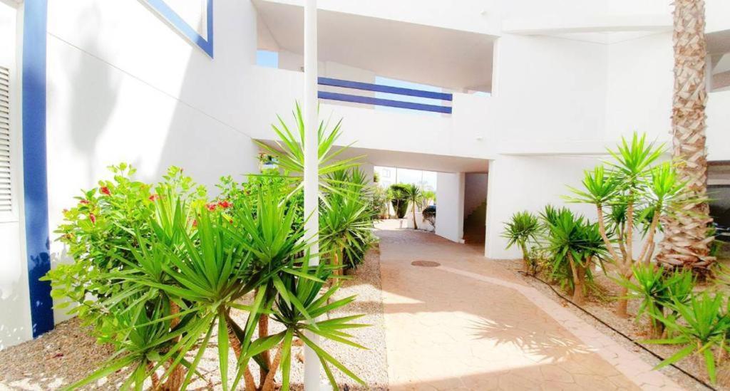 Apartment With Sea Views In Las Terrazas/Playa Flamenca Dehesa de Campoamor  Exterior photo